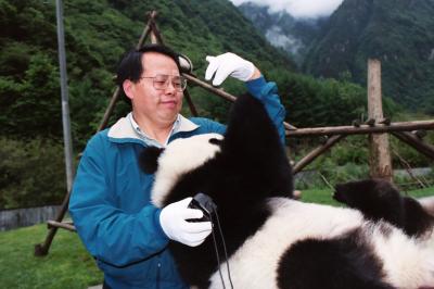 Jianguo Liu, Michigan State University