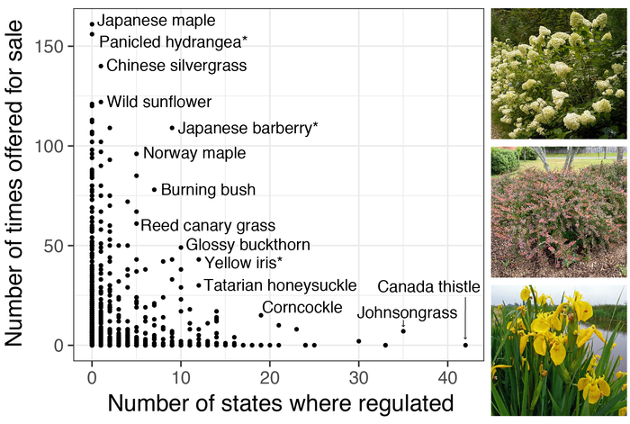 Scores of regulated plants are still for sale in many states