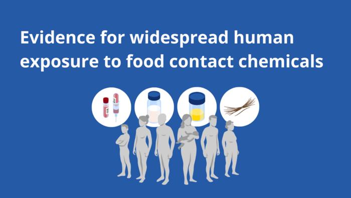 Video abstract: Evidence for widespread human exposure to food contact chemicals