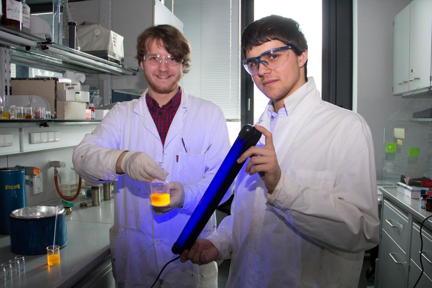 The Fluorescence of a Perylene Bisimide Solution