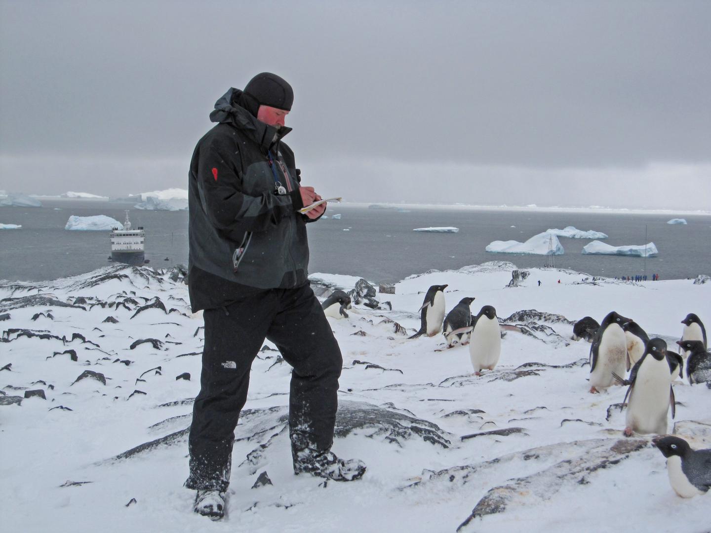 Prof. Patterson Surveys the Scene