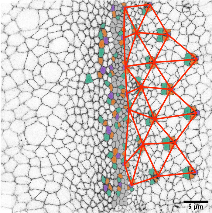 First time point with lattice