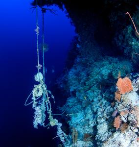 Nylon rope at 100m depth