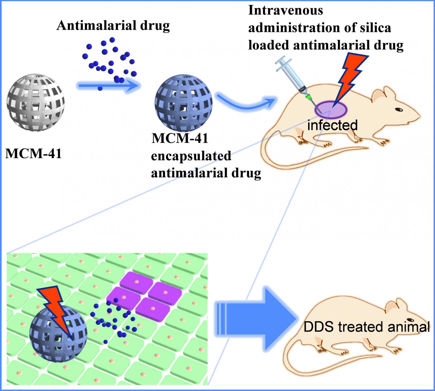 A Drug Delivery System Made from the Porous Silica Material MCM-41