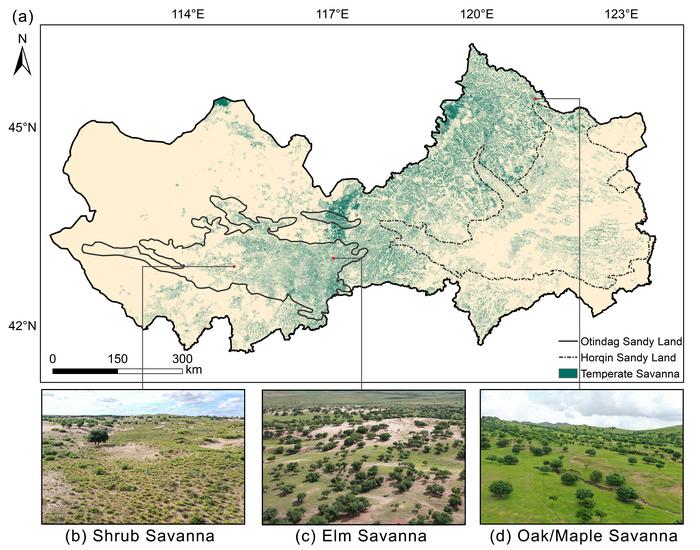 Spatial distribution map of (a) temperate savanna and (b–d) landscape photographs of various types of temperate savanna.