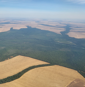 Number of fires in Brazilian Amazon in August-September 2022 was highest since 2010