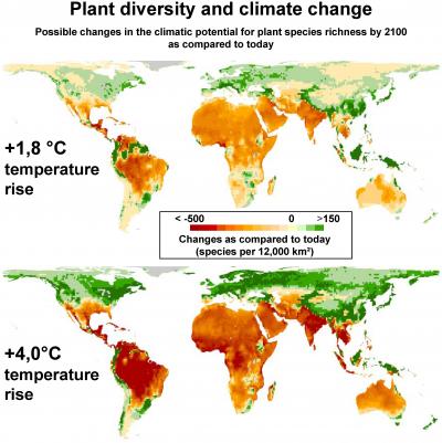 Impact of Climate Change on Plant Diversity Worldwide