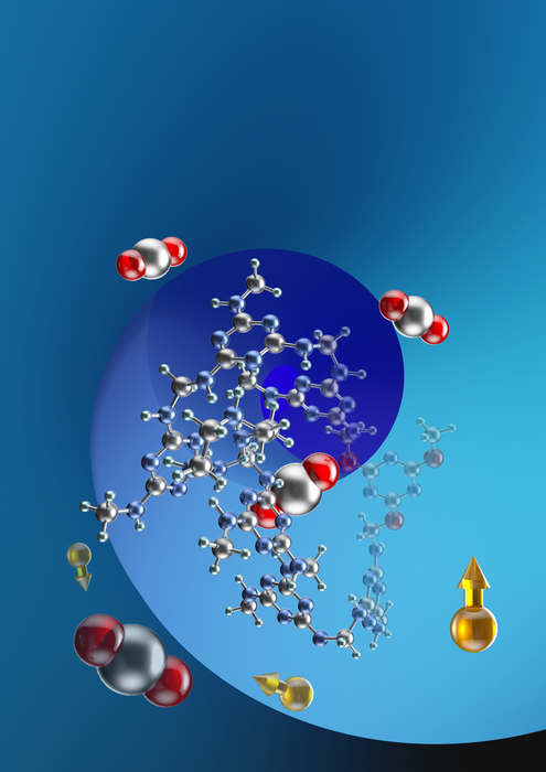 Chemistry of carbon capture inside porous melamine networks