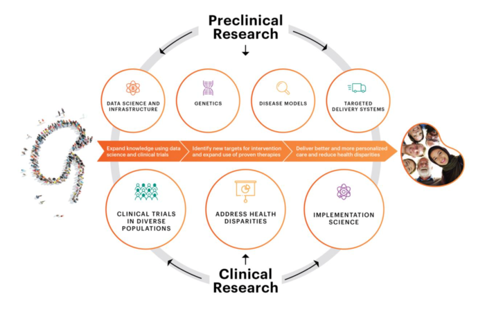 Agenda to advance kidney care in diverse populations: using preclinical research to enhance and direct clinical research