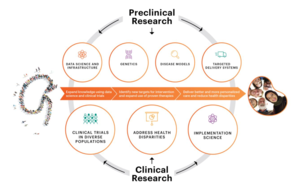 Agenda to advance kidney care in diverse populations: using preclinical research to enhance and direct clinical research