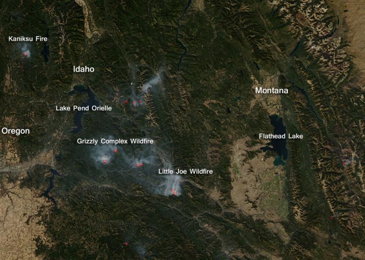 Wildfires Continue to Beleaguer the US Western States