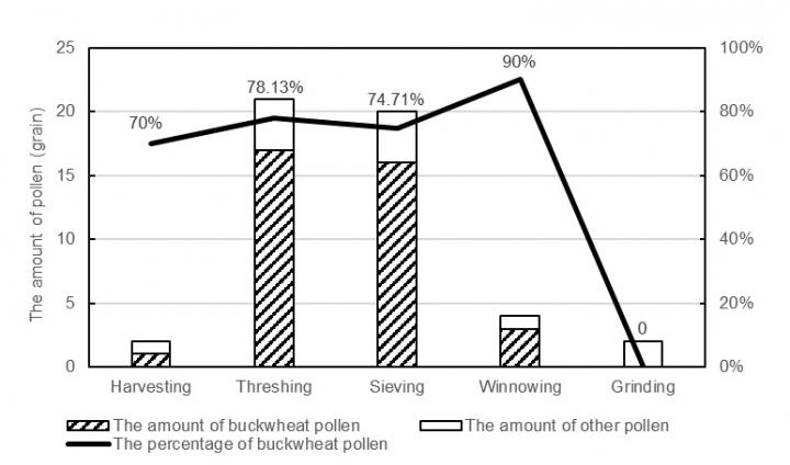 图2 不同加工阶段花粉雨中荞麦花粉释放量均值及百分比均值