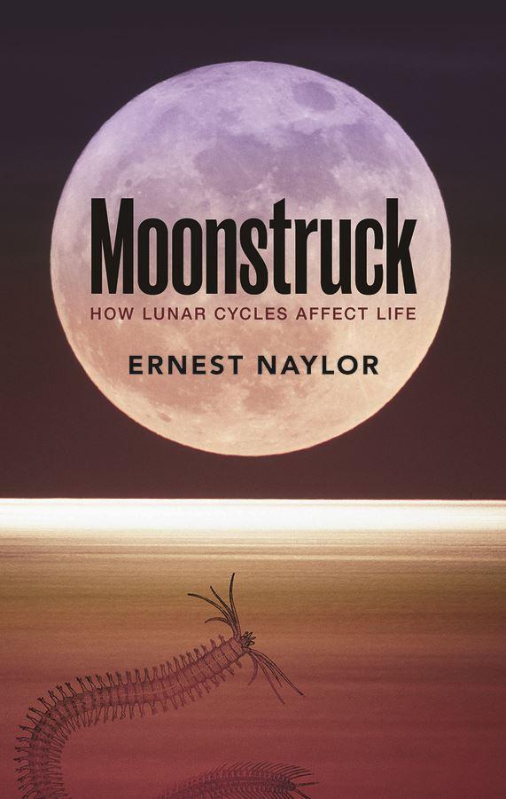 Affect lives. Moonstruck для чего. Moonstruck цвет. Lunar Cycle. Zoomad Moonstruck.