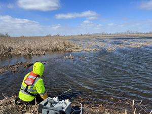 Surveilling wetlands for infectious bird flu — and finding it