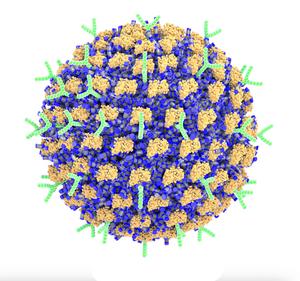 Decorated nanoparticle