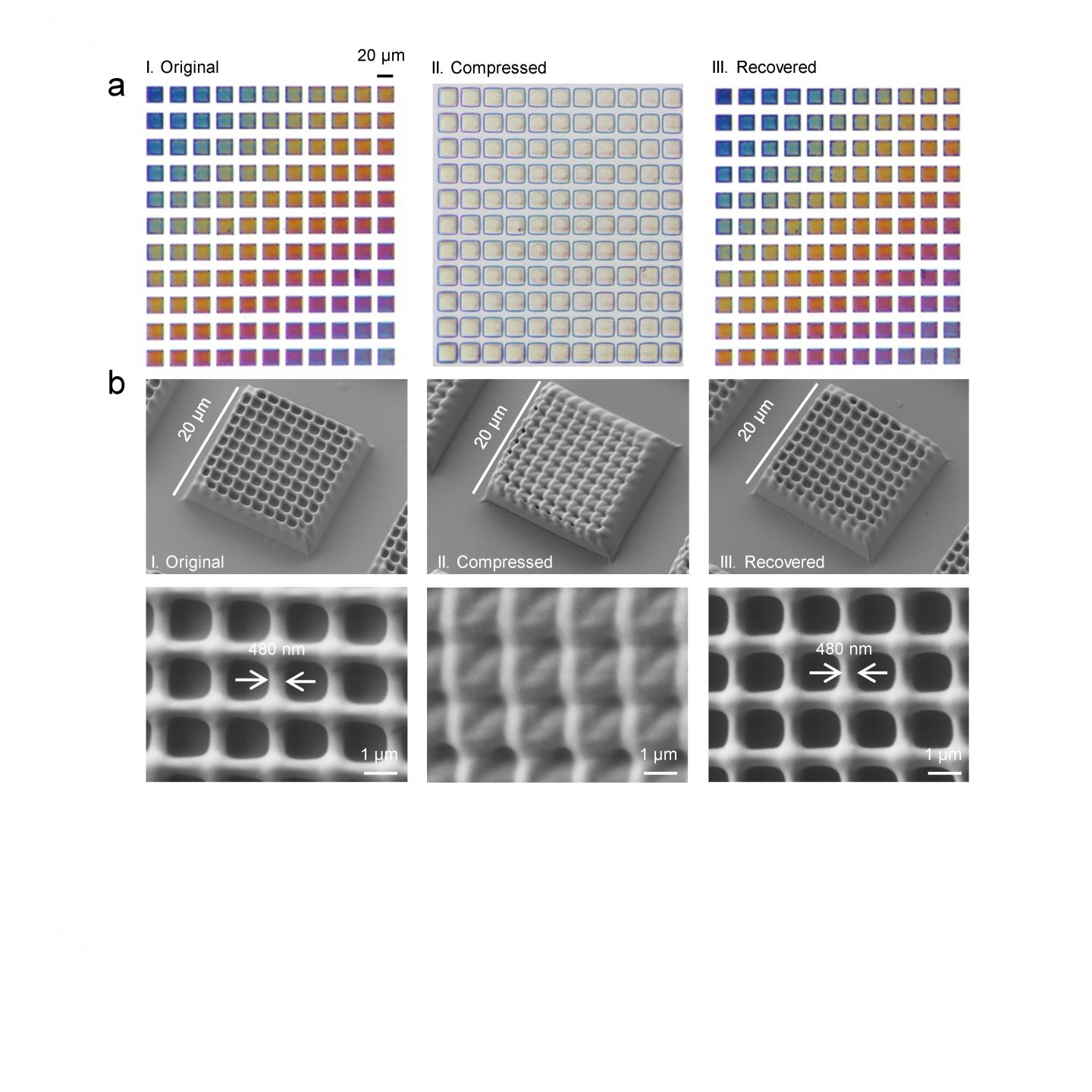 Submicron 4D printing