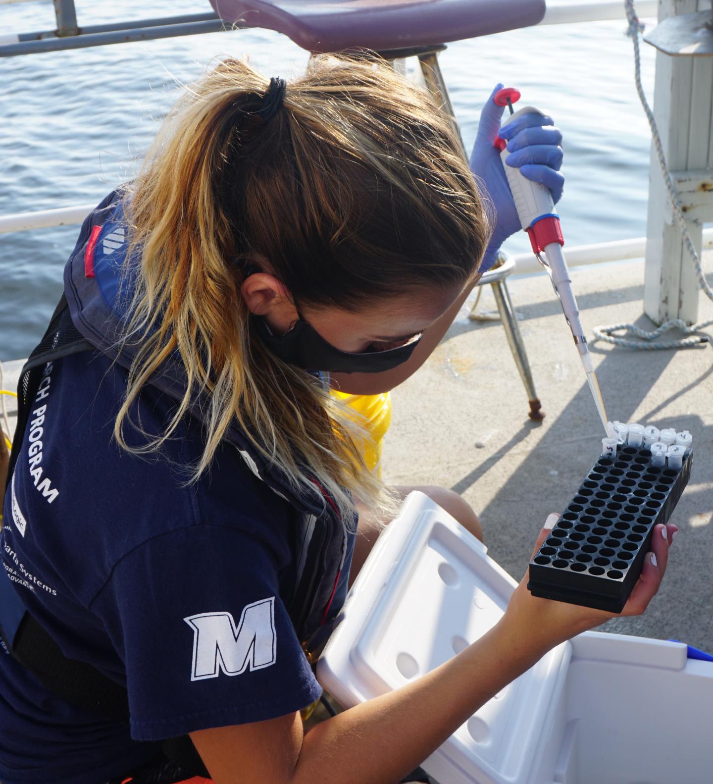 Storing Seawater / eDNA