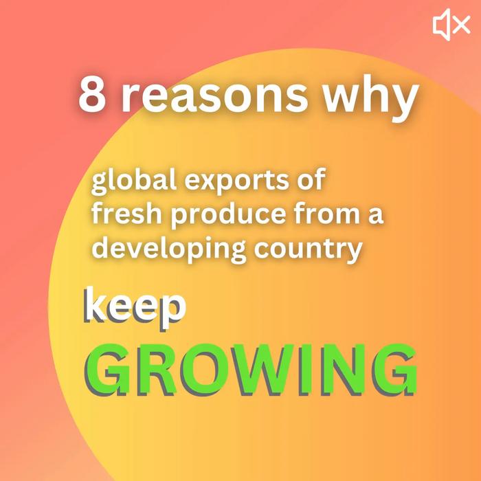 Eight reasons why global exports of fresh produce from a developing country keep growing