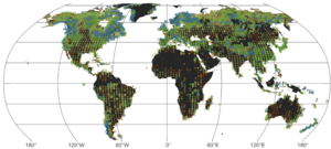 Color of the world's lakes