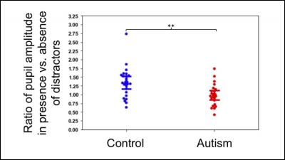 Changes in Brain Attention May Underlie Autism