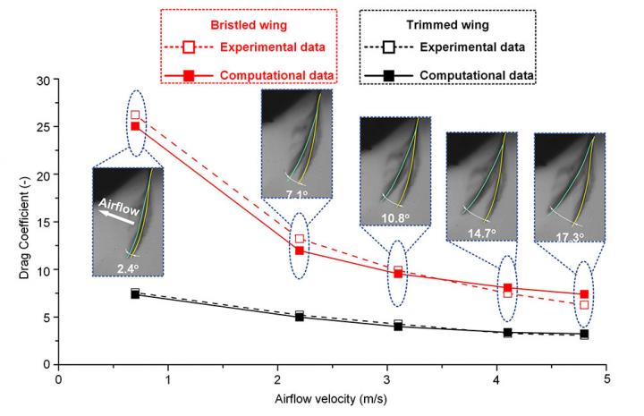 Comparison of the Drag Coefficient between the Experimental Measurement and Computational Analysis