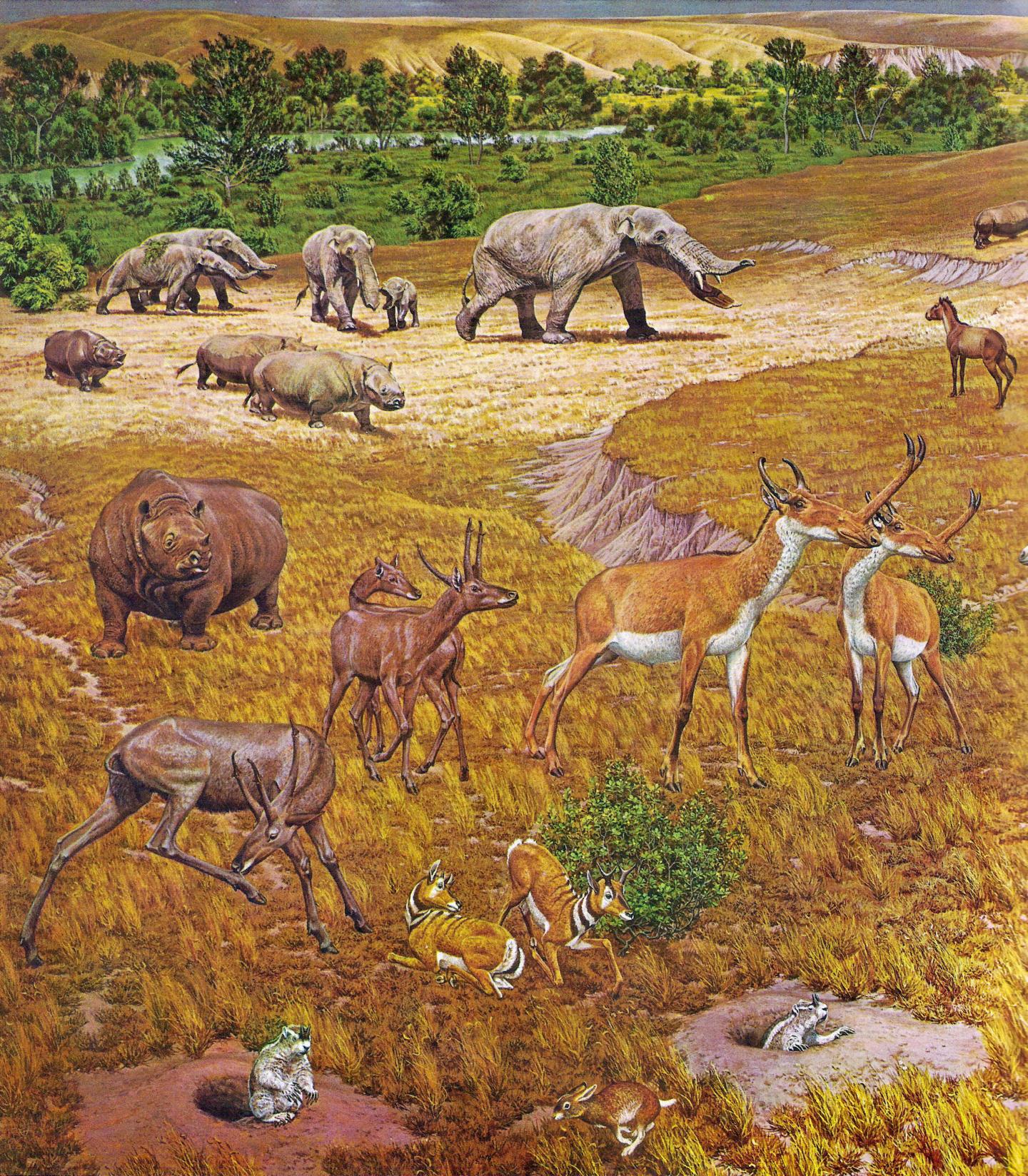 Artist's Interpretation of North American Fauna