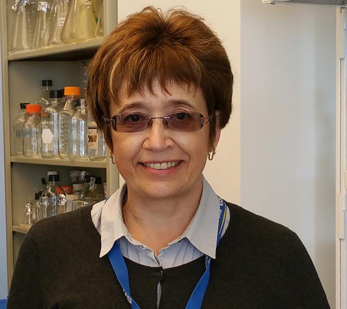 Protecting the Pancreas: Compound Fights Fibrosis in Animal Model