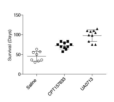 Survival in Male Rett Mice Rises Significantly with Experimental Drugs