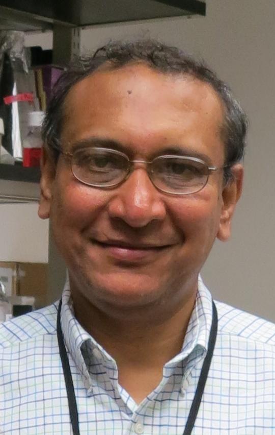 Anindya Dutta, M.D., Ph.D., University of Virginia Health System