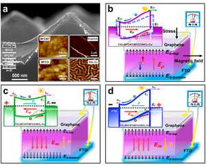 Multiferroic heterojunction black silicon photovoltaic devices