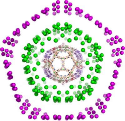 Viruses and Fullerenes