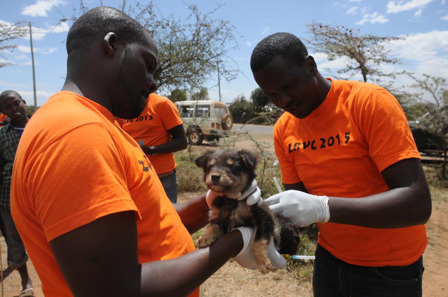 Puppy Getting Rabies Shot