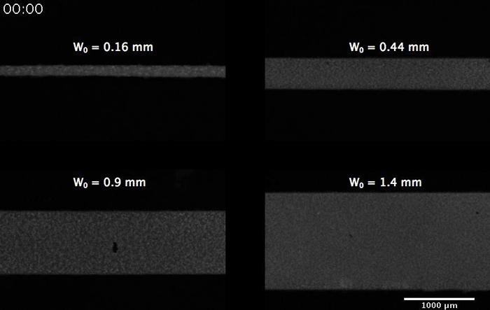 Spontaneous Contraction of Microtubules