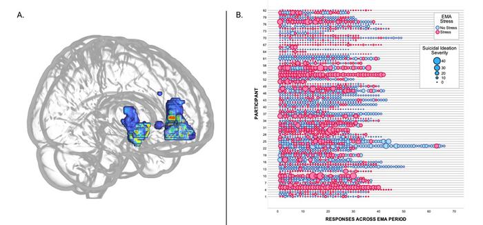 New Imaging Study Finds Evidence that Emotion Regulation Is Not Always the Most Effective Strategy to Mitigate Suicidal Ideation