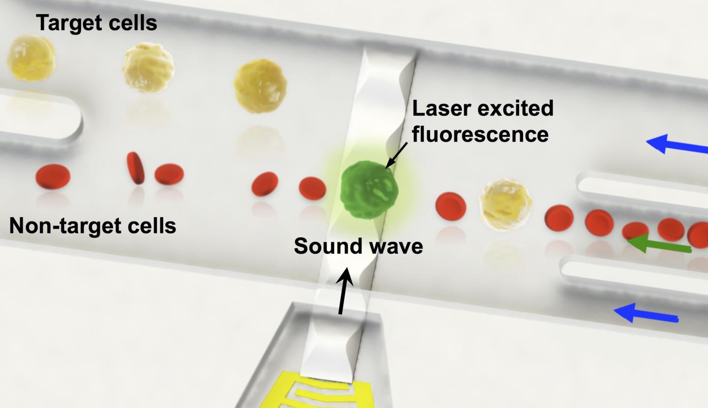 Schematic of the Fluorescence