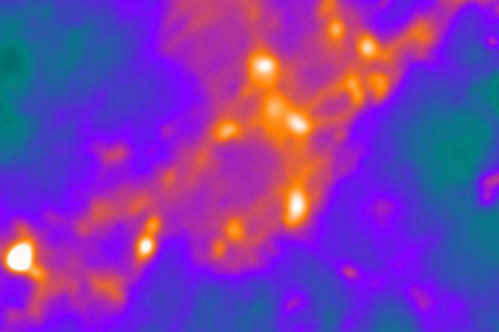 Scientists Get Closer Look at Living Nerve Synapses