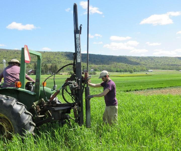 cover crop field