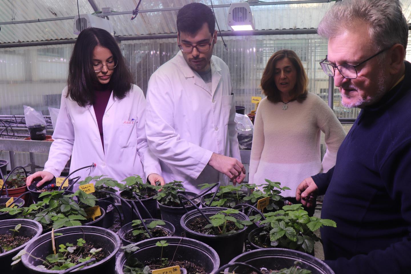 Researchers from University of Córdoba