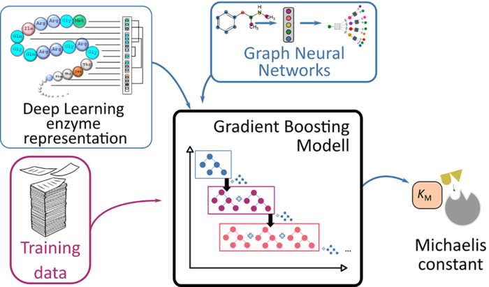 Schematic presentation of the prediction process for Michaelis constants