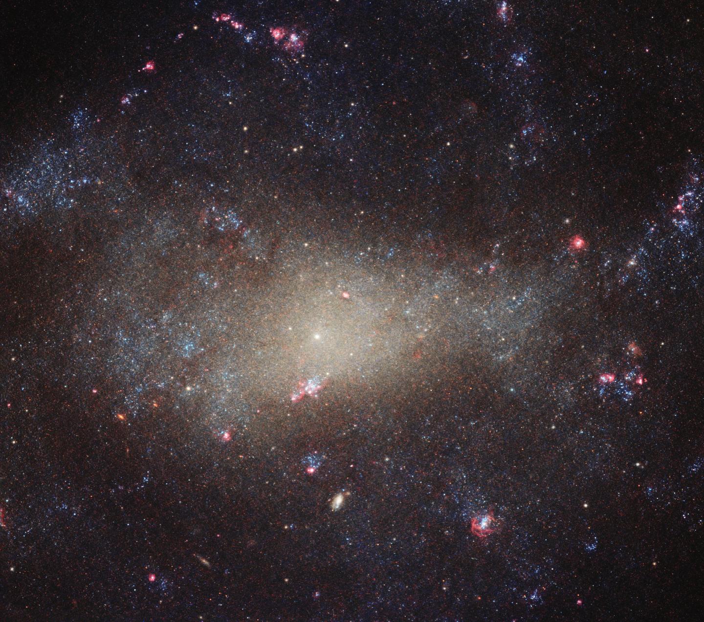 Hubble's Hunting Dog Galaxy | EurekAlert!