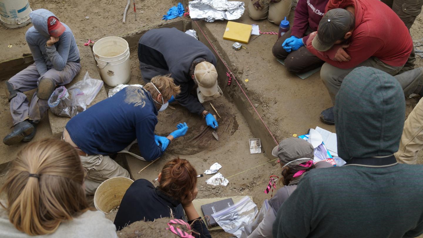 Excavations at the Upward Sun River Archaeological Site in Alaska