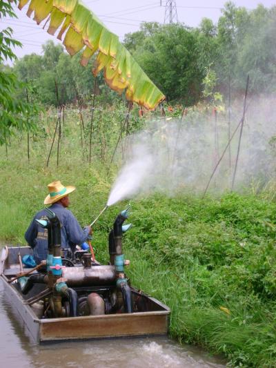 Thai Farmer Sprays Pesticides on Crops from his Boat