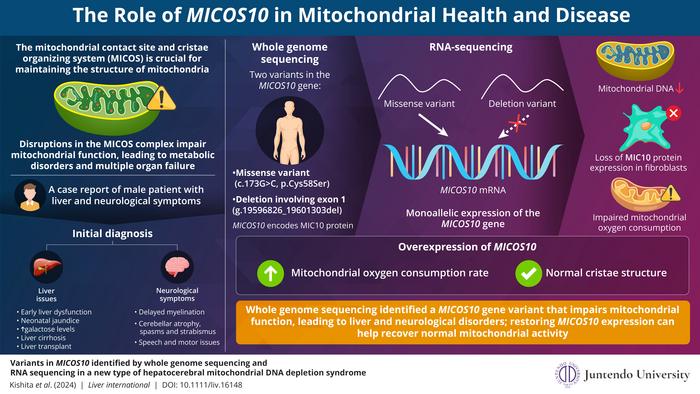 Role of MICOS10 Variants in Hepatocerebral Mitochondrial DNA Depletion Syndrome