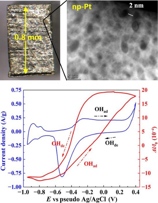 Microscopic structure and actuation performance of nanoporous platinum (np-Pt)