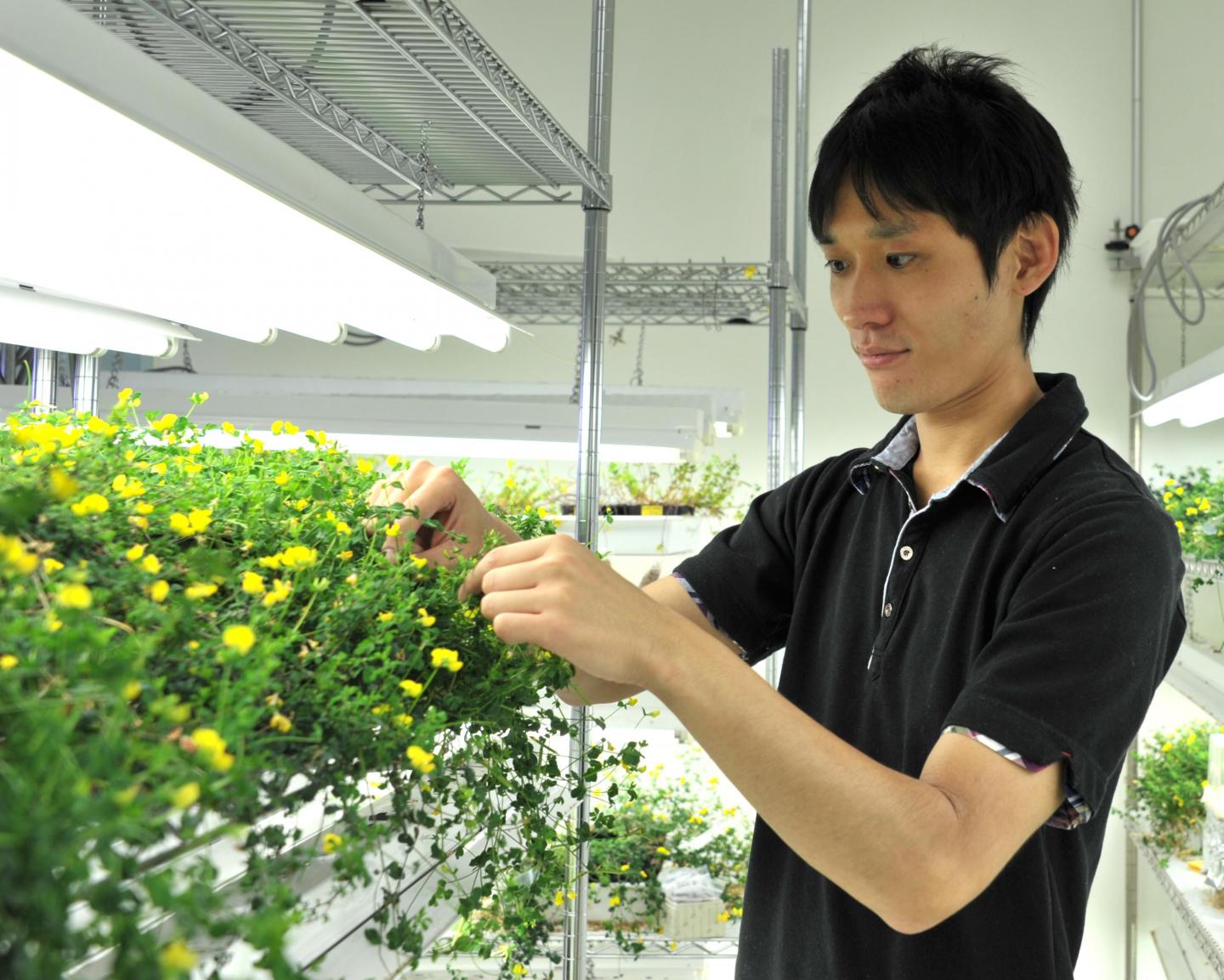 Takema Sasaki, National Institute for Basic Biology