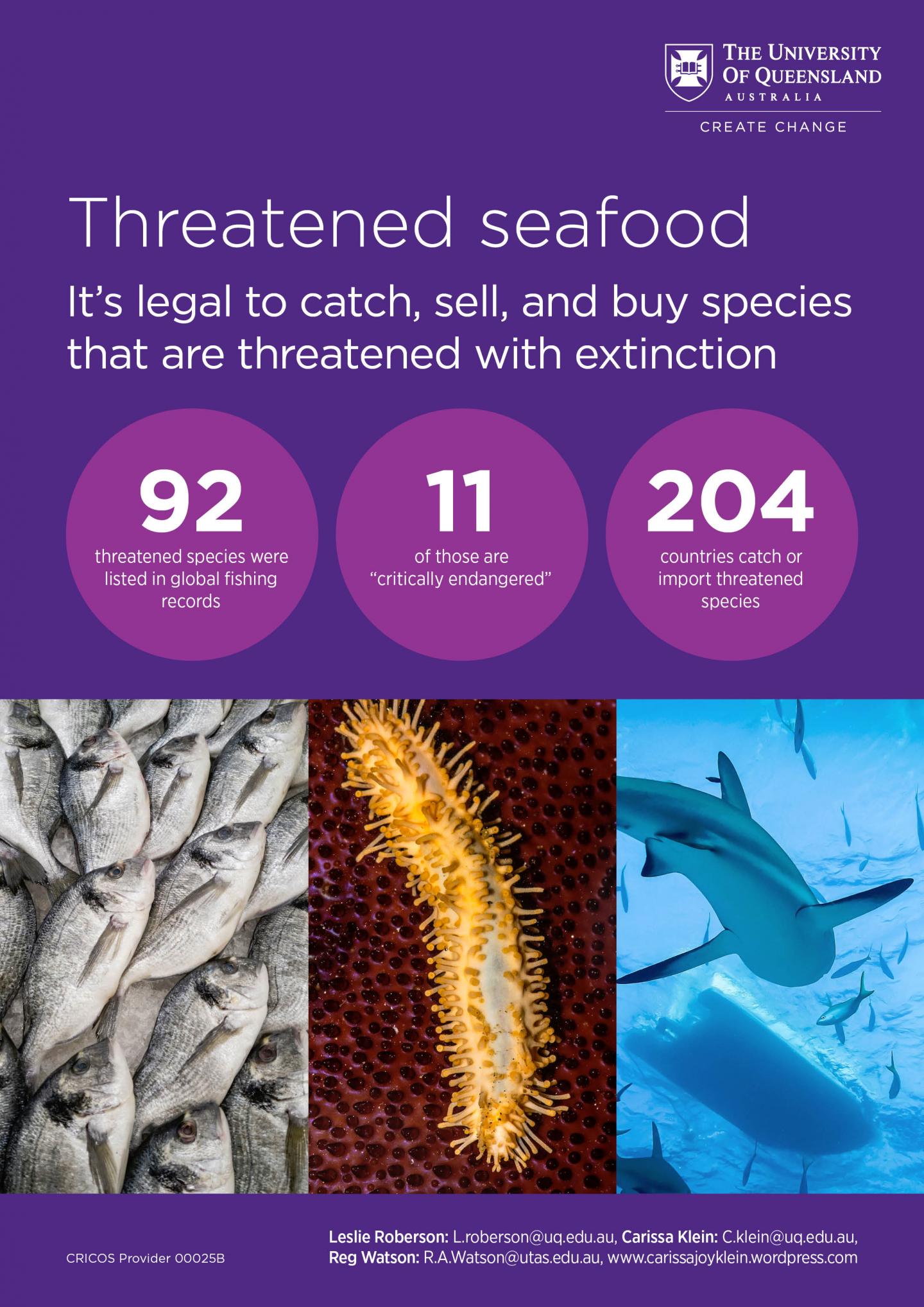 sustainable seafood infographic