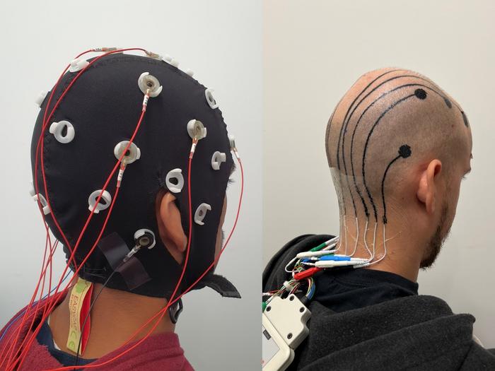 EEG comp