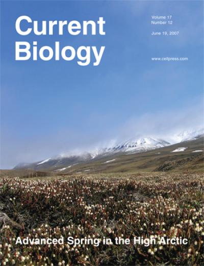 June 19, 2007 Current Biology cover