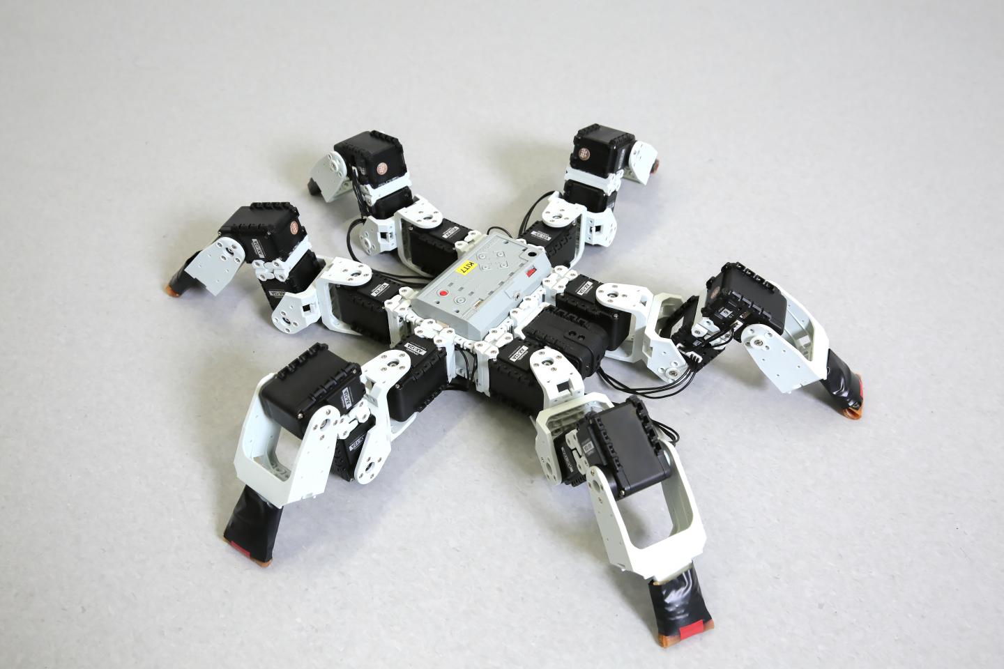 Six-Legged Robot
