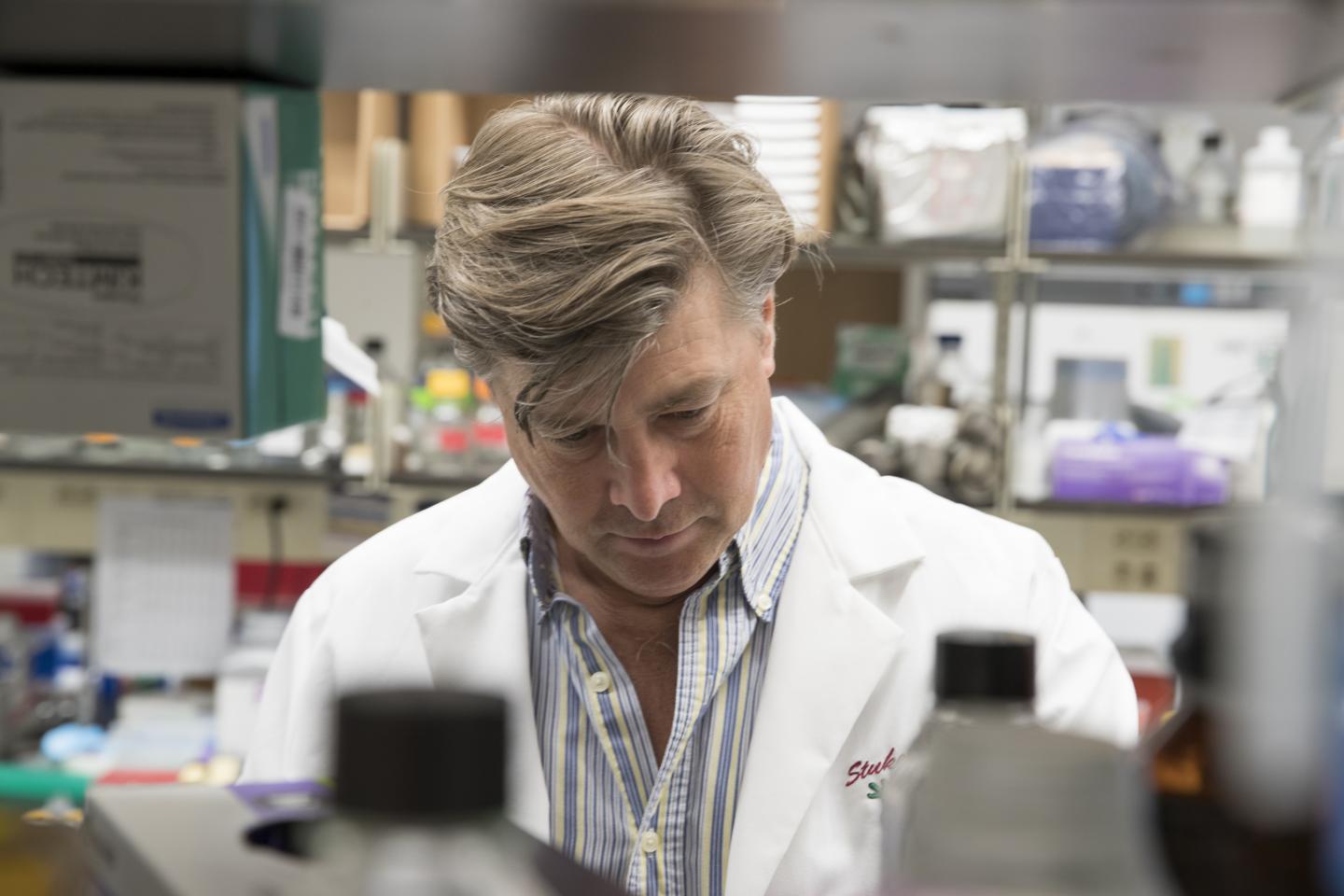 P. Todd Stukenberg, University of Virginia